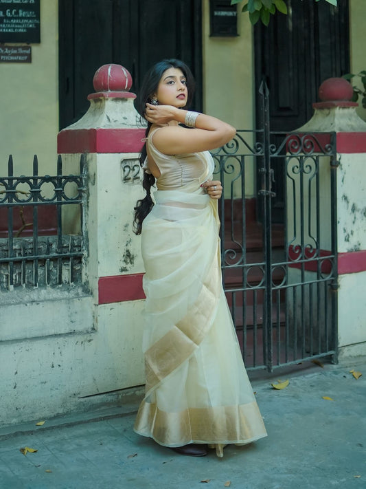 White Rose | Beige Handloom Organza Saree