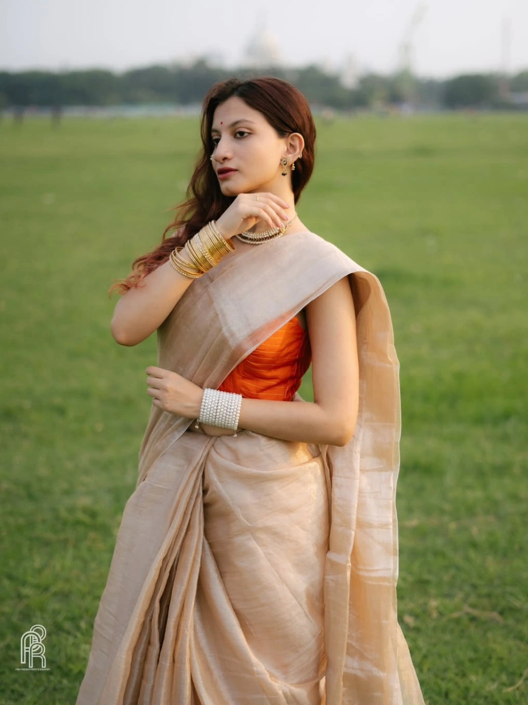 Creamy Glow | Ivory Handloom Tissue Saree.