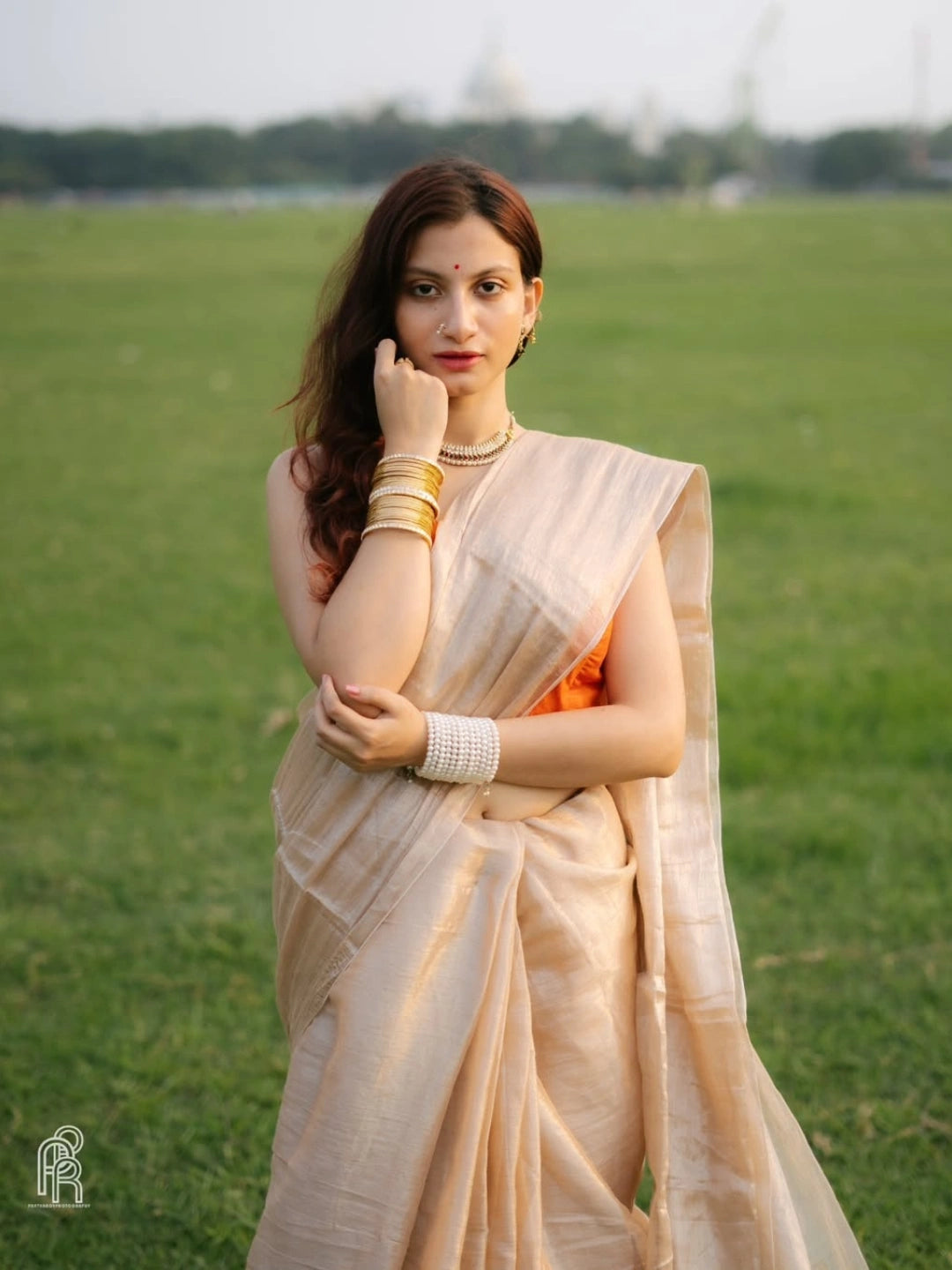 Creamy Glow | Ivory Handloom Tissue Saree.
