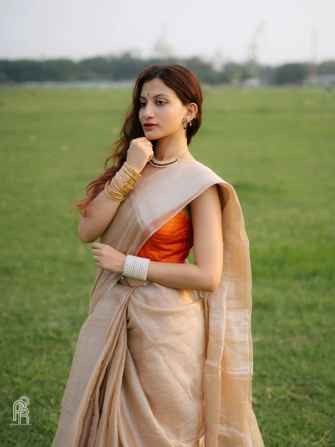Creamy Glow | Ivory Handloom Tissue Saree.