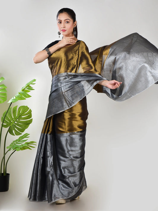 Swarna Chaand | Gold & Silver Handloom Tissue Saree