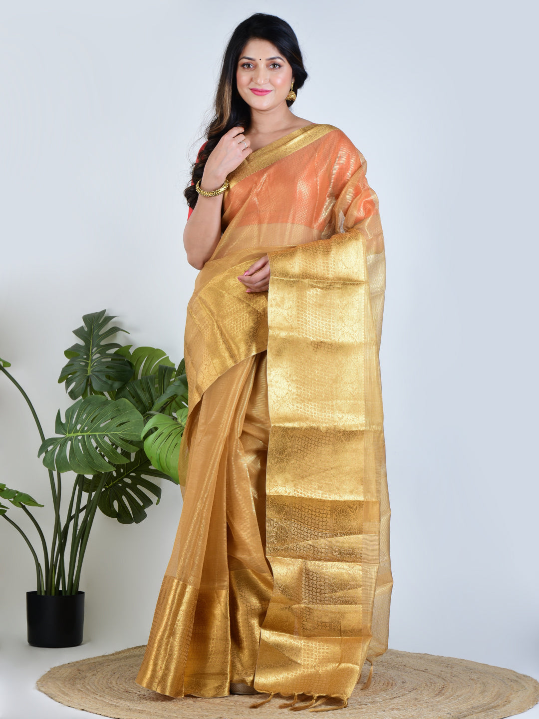 Golden Eclipse | Gold Banarasi Tissue Saree