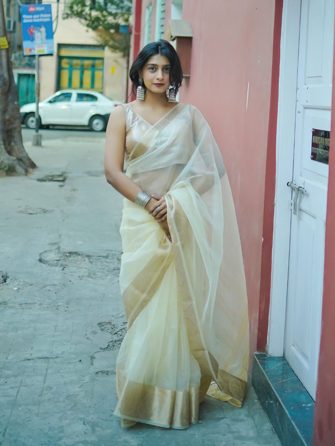 White Rose | Beige  Handloom Organza Saree