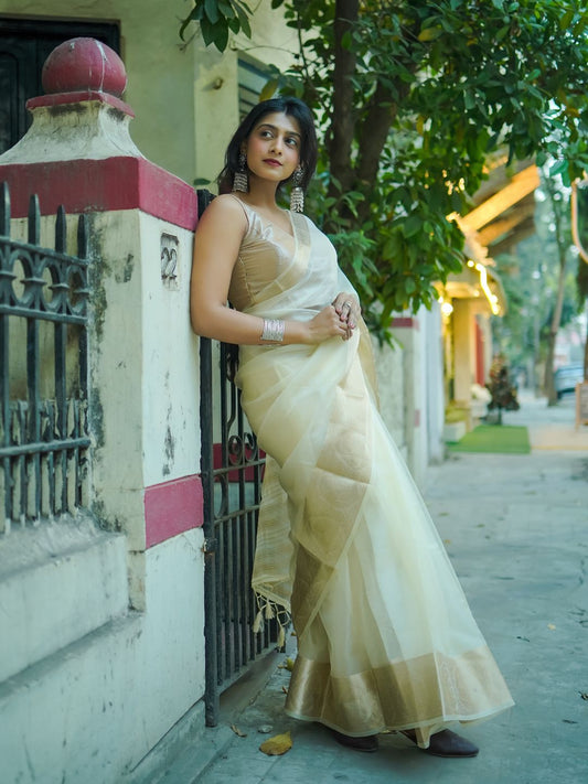 White Rose | Beige  Handloom Organza Saree