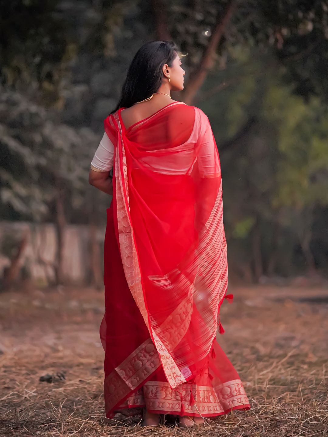 Red Rose | Red  Handloom Organza Saree