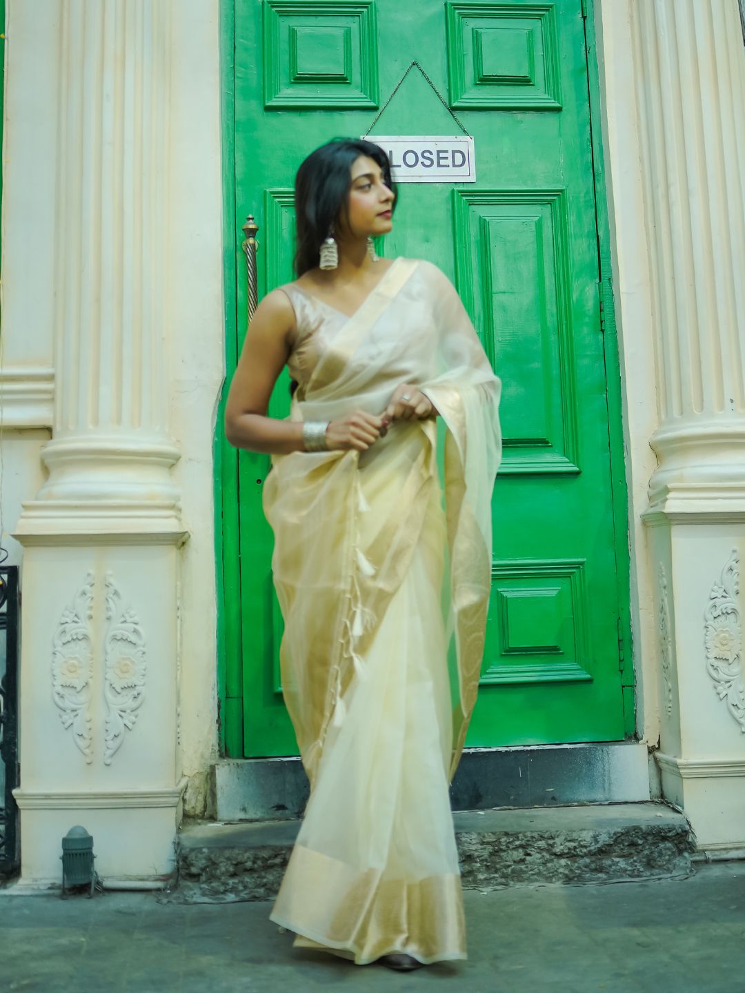 White Rose | Beige  Handloom Organza Saree