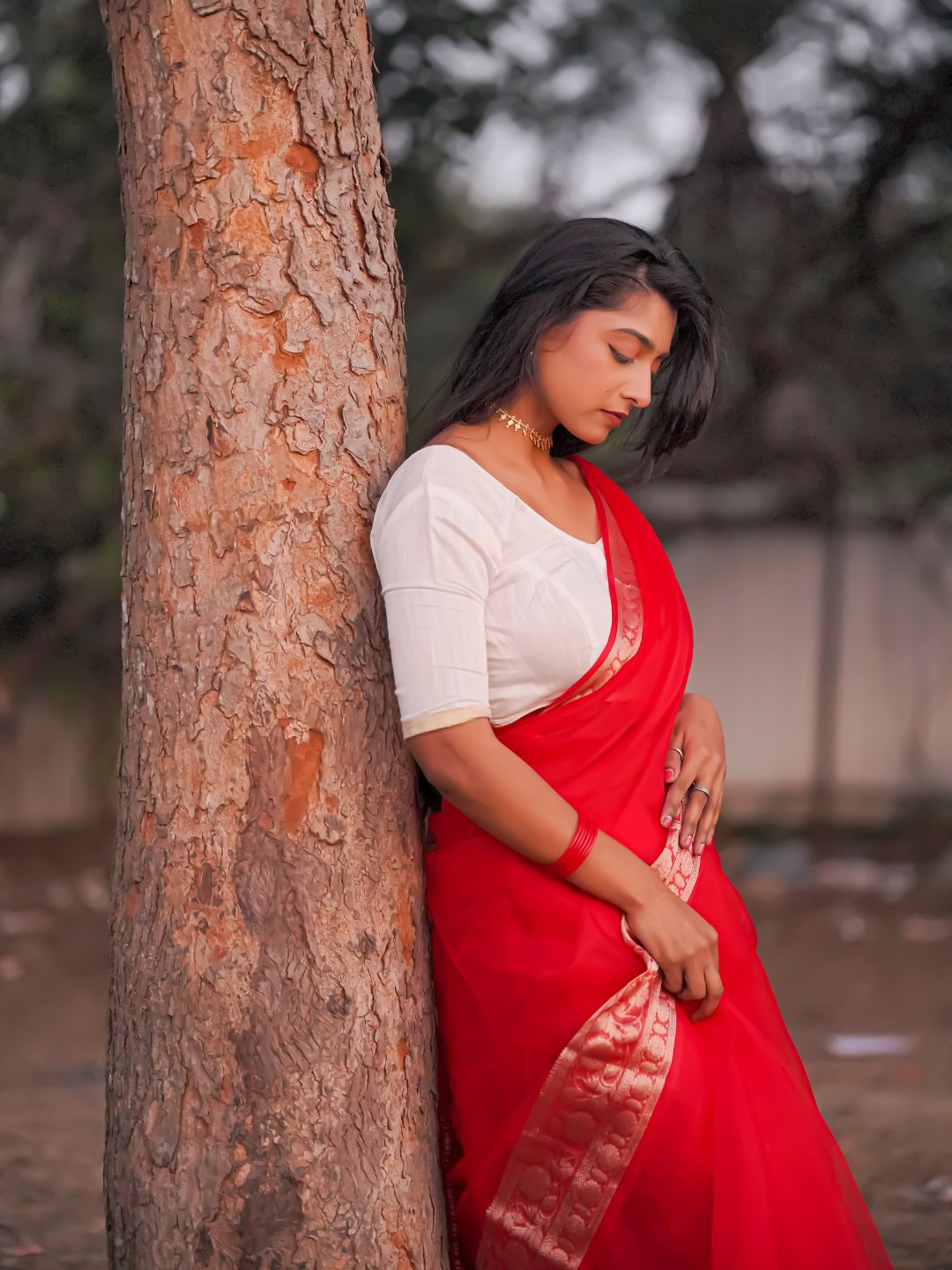 Red Rose | Red  Handloom Organza Saree