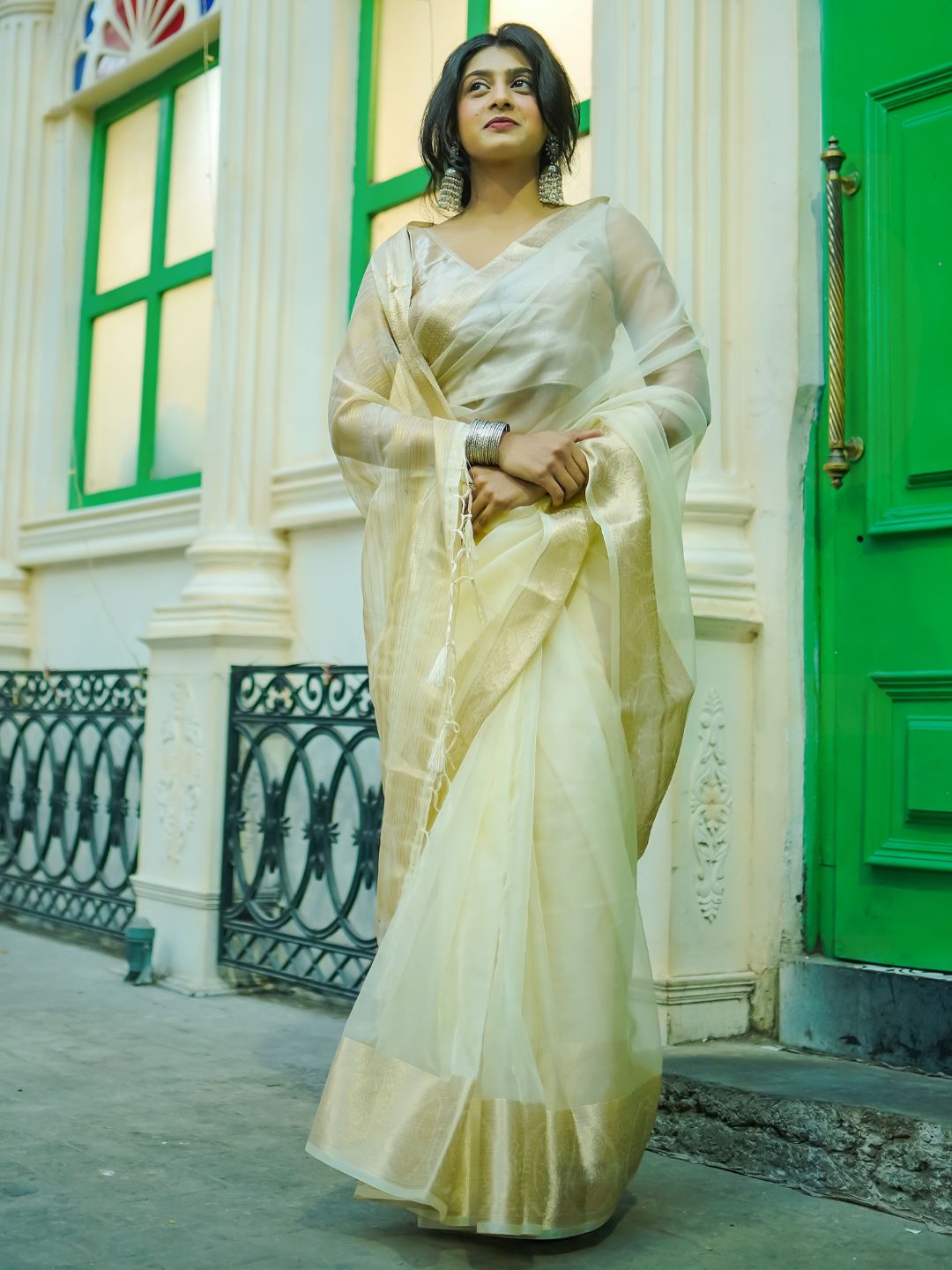White Rose | Beige  Handloom Organza Saree