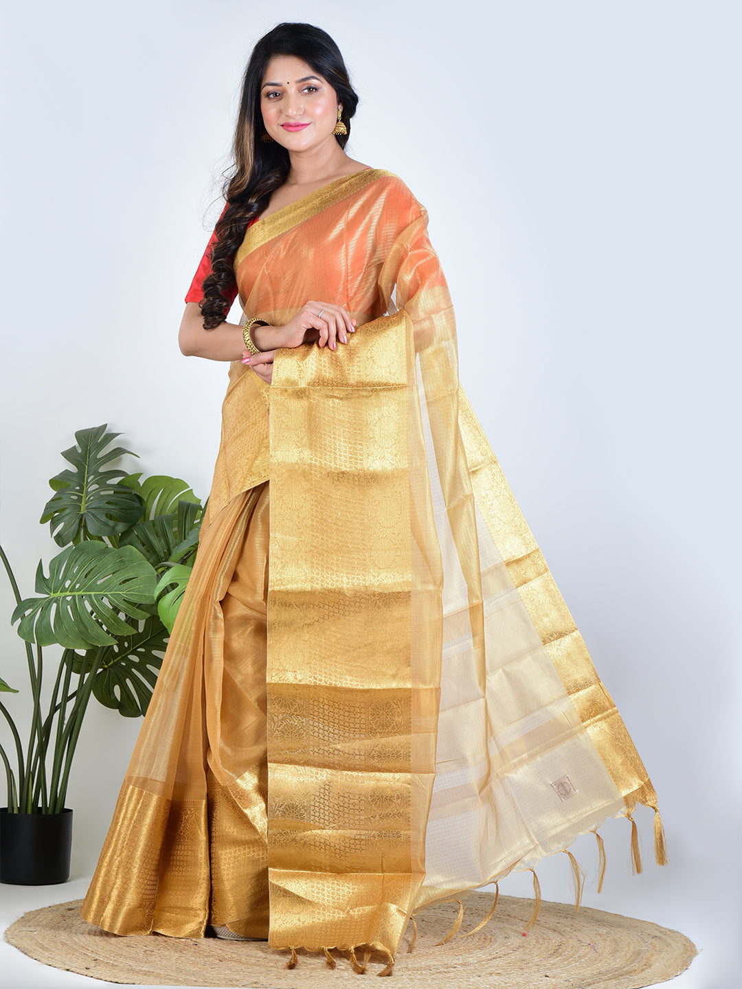 Golden Eclipse | Gold Banarasi Tissue Saree