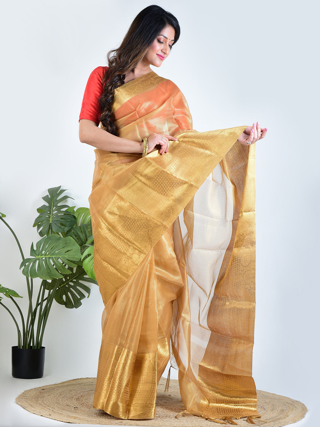 Golden Eclipse | Gold Banarasi Tissue Saree