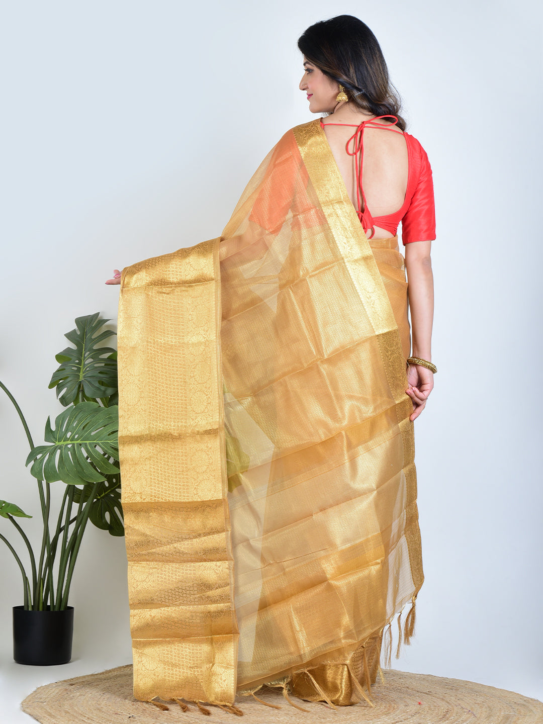 Golden Eclipse | Gold Banarasi Tissue Saree